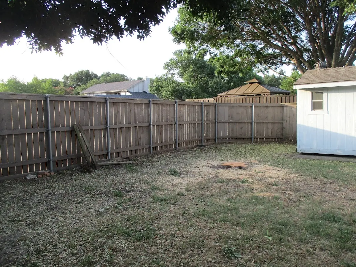 Cleared yard after professional tree removal in Friesland